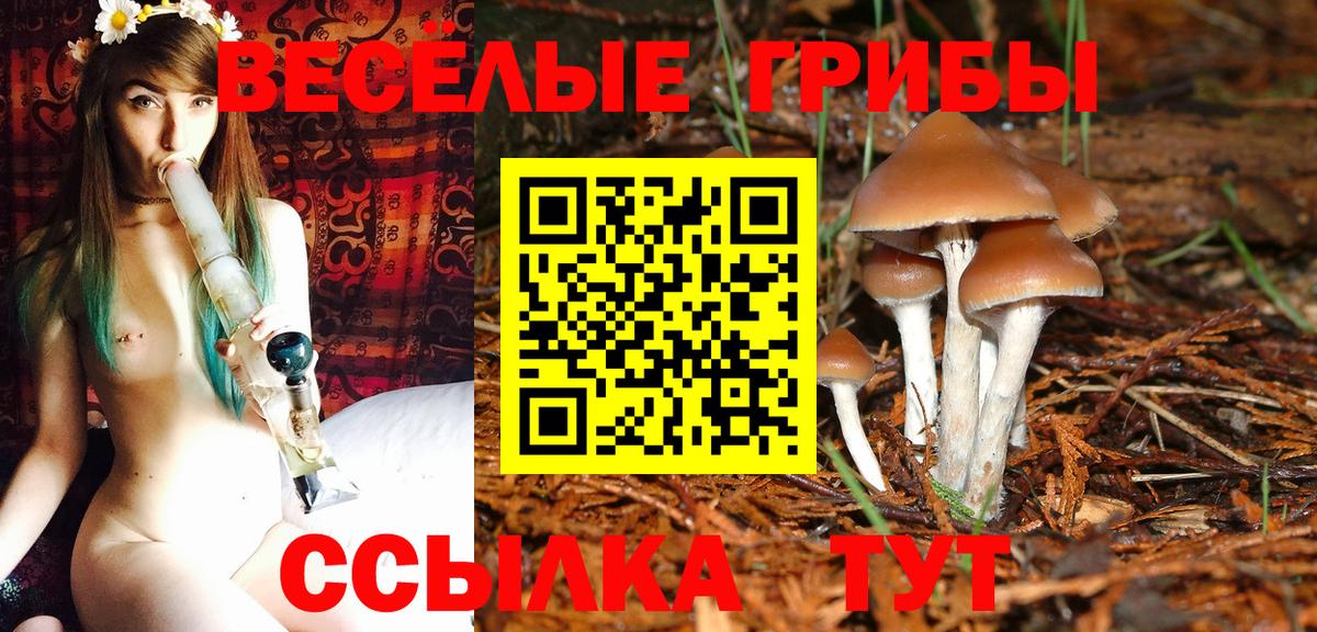 Псилоцибиновые грибы Magic Shrooms Златоуст