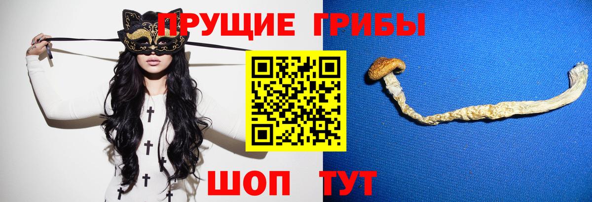 Псилоцибиновые грибы Psilocybe  Вход с VPN  Златоуст 